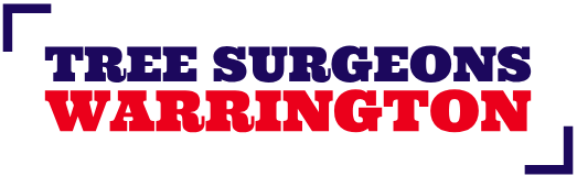 Tree Surgeons Warrington