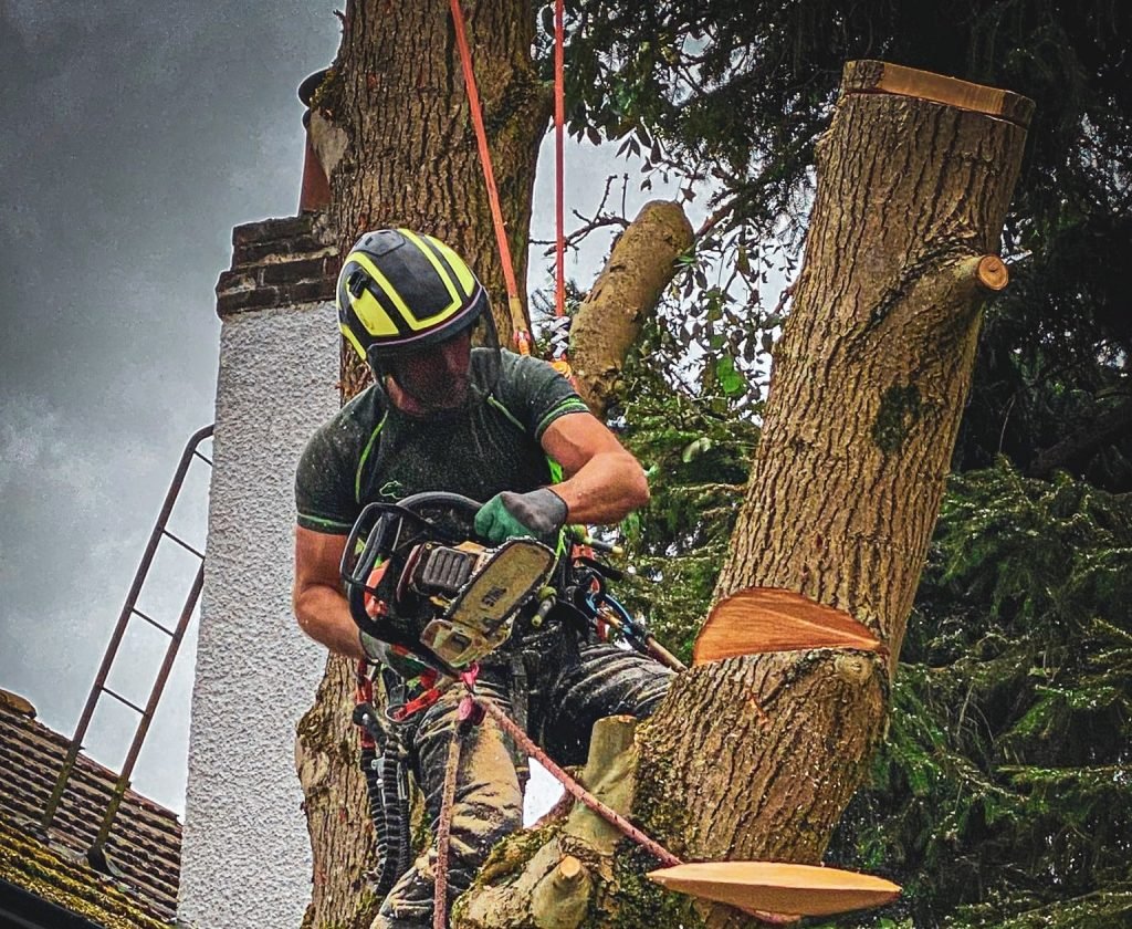 Tree Surgeons Warrington